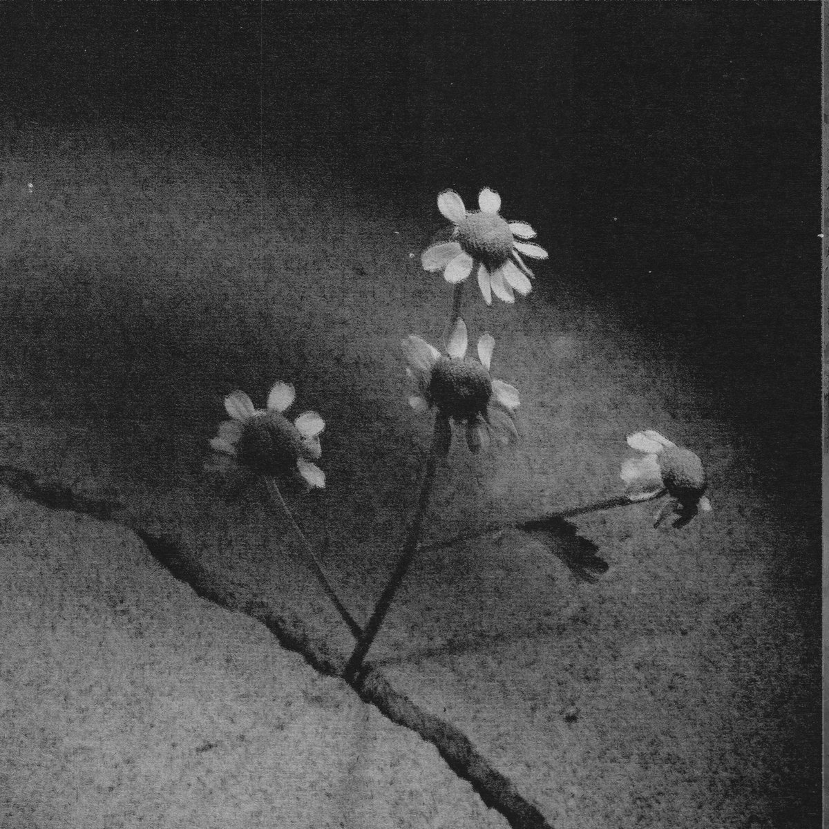 petalupdatesAG8's tweet photo. No third single, no more public appearances, no more music videos, no deluxe, no tour.

It was fun while it lasted. #weloveyouariana ♡ https://t.co/uTD7PRD6jV