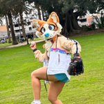 Photo by Raya 🧡 (@RayaDonutDog)