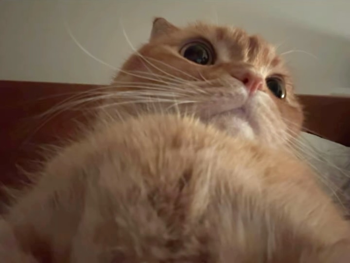 gungunkitty's tweet photo. https://t.co/YNuhpNIf08
