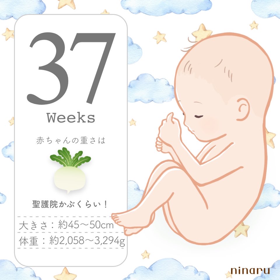 hcwr_12's tweet photo. 今日から正期産🙌
いつ産まれるかな？予定日近づくにつれて不安になったりするけど早く会いたいな👶 https://t.co/jz7HhSfPqL