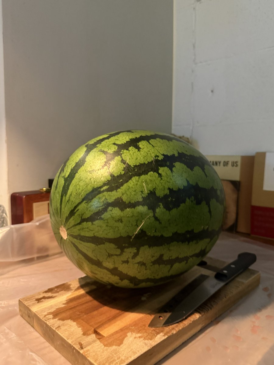 10_count's tweet photo. 2年ぶり、致死量の🍉会 https://t.co/6Ftcyi3Wly