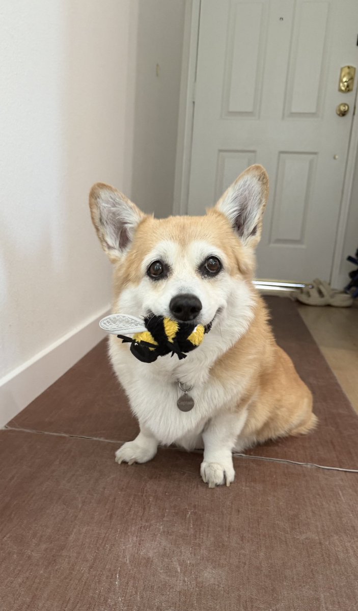 ccorgik's tweet photo. 자랑하고싶엇서 https://t.co/cfeglJKpdv