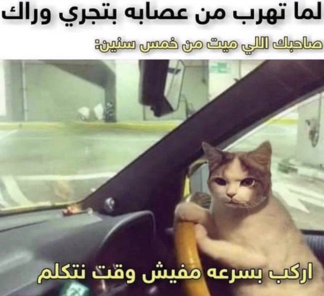7u7xi's tweet photo. سنفاير مع ايغون

#hotd  #HouseOfTheDragon https://t.co/5xTd2PJHxv