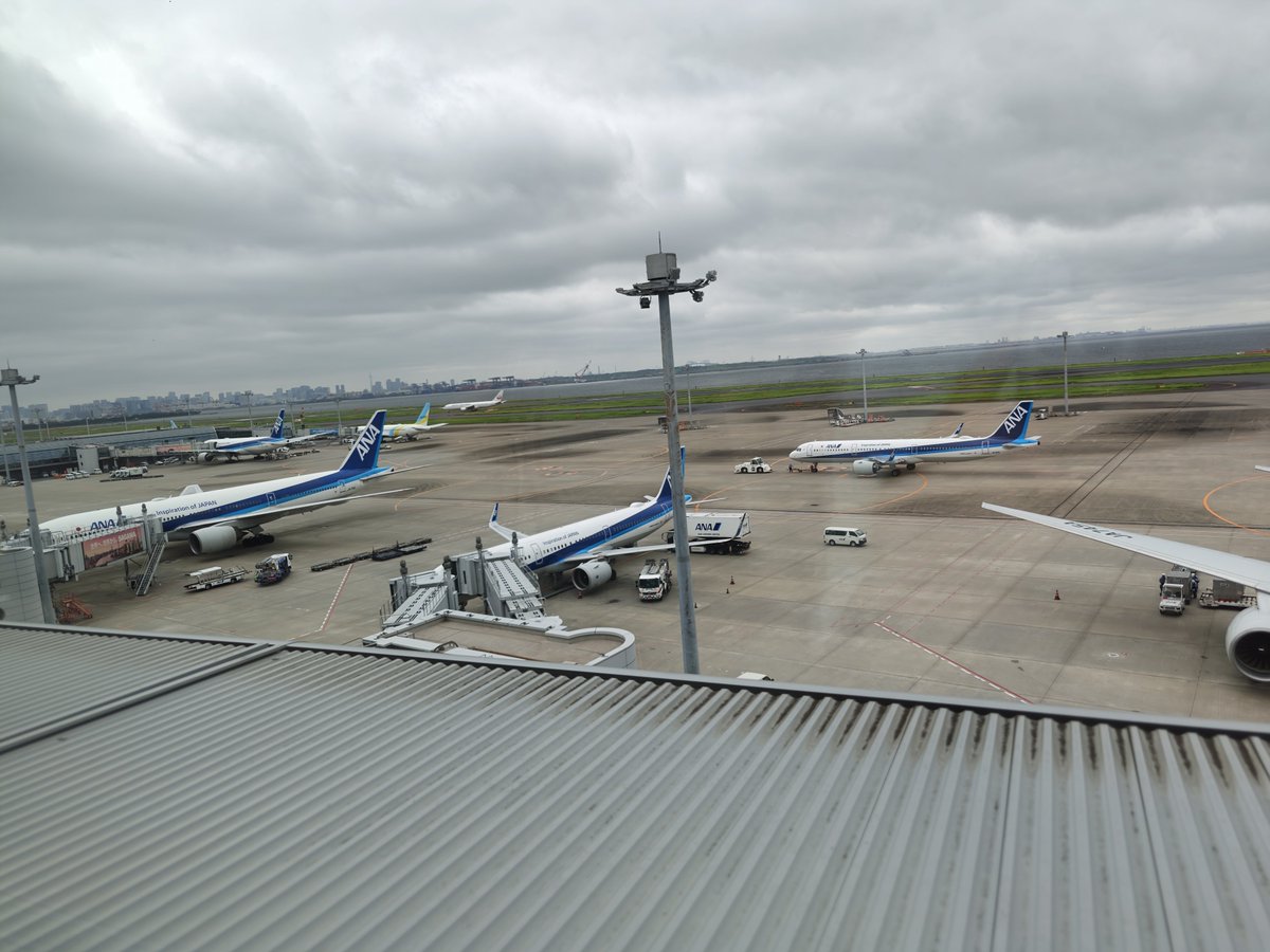 ikioirep's tweet photo. 羽田空港だぞ https://t.co/O5tccb2PFa