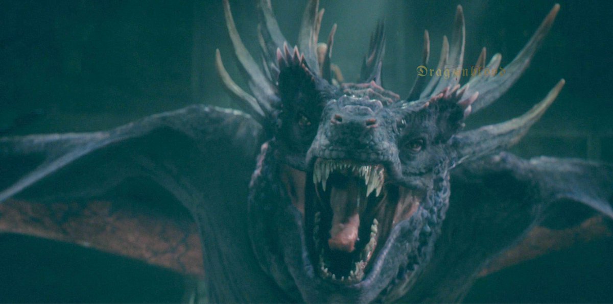 dragonbloodla's tweet photo. 🐉Debut de Dreamfyre en La Casa del Dragón 🔥

"Dreamfyre era una dragona esbelta. Su coloración era principalmente azul pálido, con marcas plateadas. Tenía crestas plateadas y alas azul pálido."

#HouseoftheDragon #HOTD https://t.co/n8Jha4N4BF