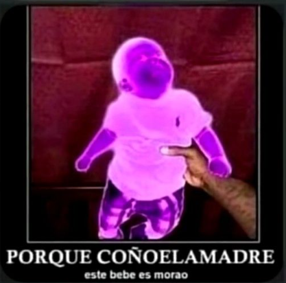 FriskyBits__'s tweet photo. @Tame353 oye porygon pq eres morao https://t.co/j1cCi6nTeg