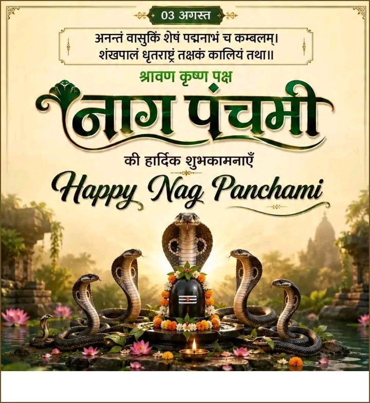 देसी छोरा🐋 tweet media