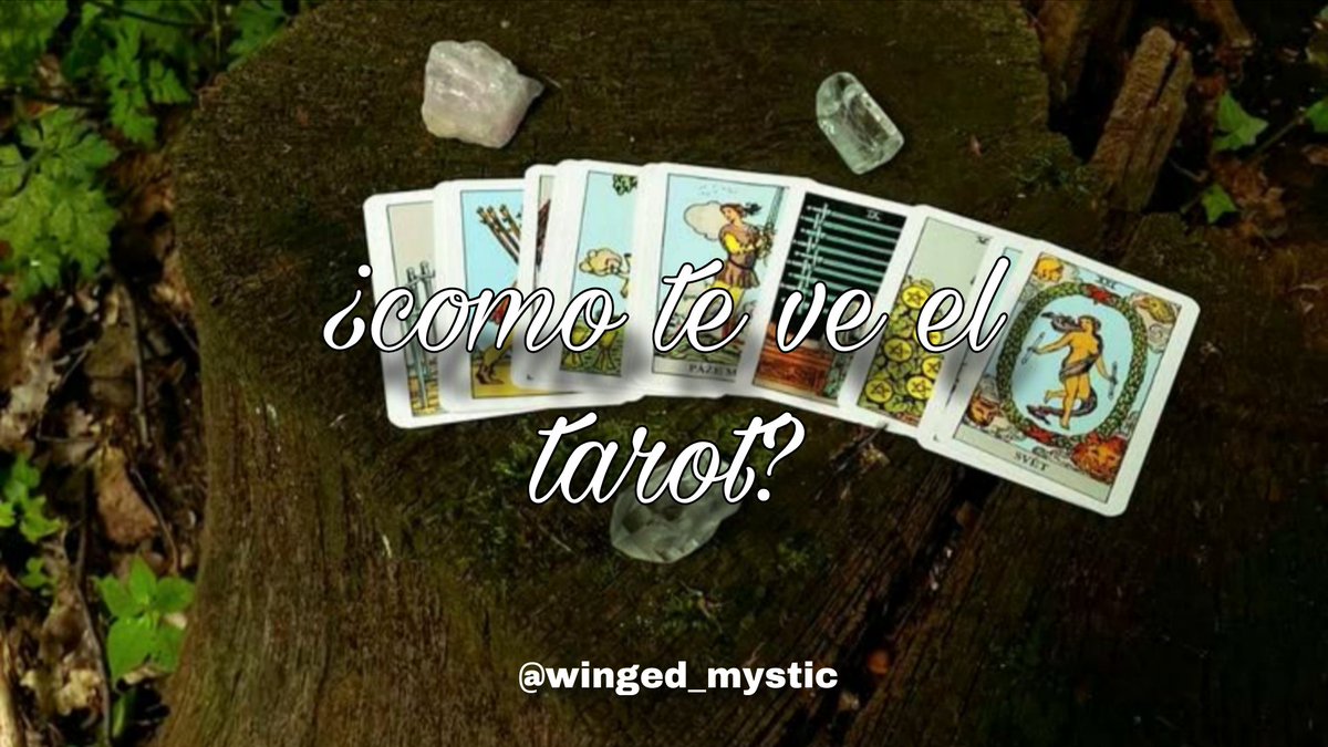 winged_mystic's tweet photo. Dinámica! 🃏
comenta tu nombre,yo te daré una carta para describir como el tarot te ve! 
Requisitos:
• seguirme
• dar me gusta y rt
        ︵︵︵ ๑ ♡ ๑ ︵︵︵ https://t.co/ggobLZDSsz