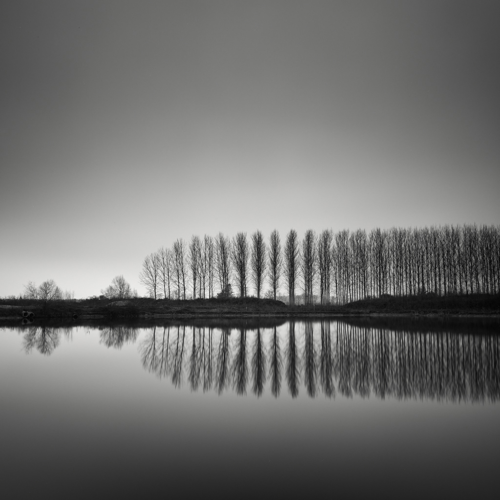 artlimitednet's tweet photo. Slow Awakening by Pierre Pellegrini https://t.co/n5OWhLBQjx
@hasselblad #filmphotography #blackandwhite #hasselbladculture #analogphotography #mediumformat #irox_bw #river #discoverglobe #lake #landscape #blackwhite #film #analogkollektiv #blackandwhitephotography #nature… https://t.co/nPucXVyrPI