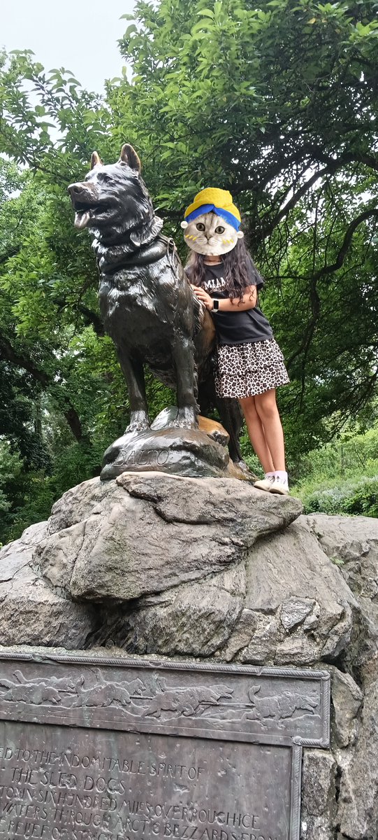 Fas_04's tweet photo. Central Park, NYC https://t.co/3Vz7fyzAc8