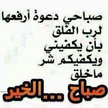 salehalsonaidi's tweet photo. https://t.co/Hu54LvlYiA