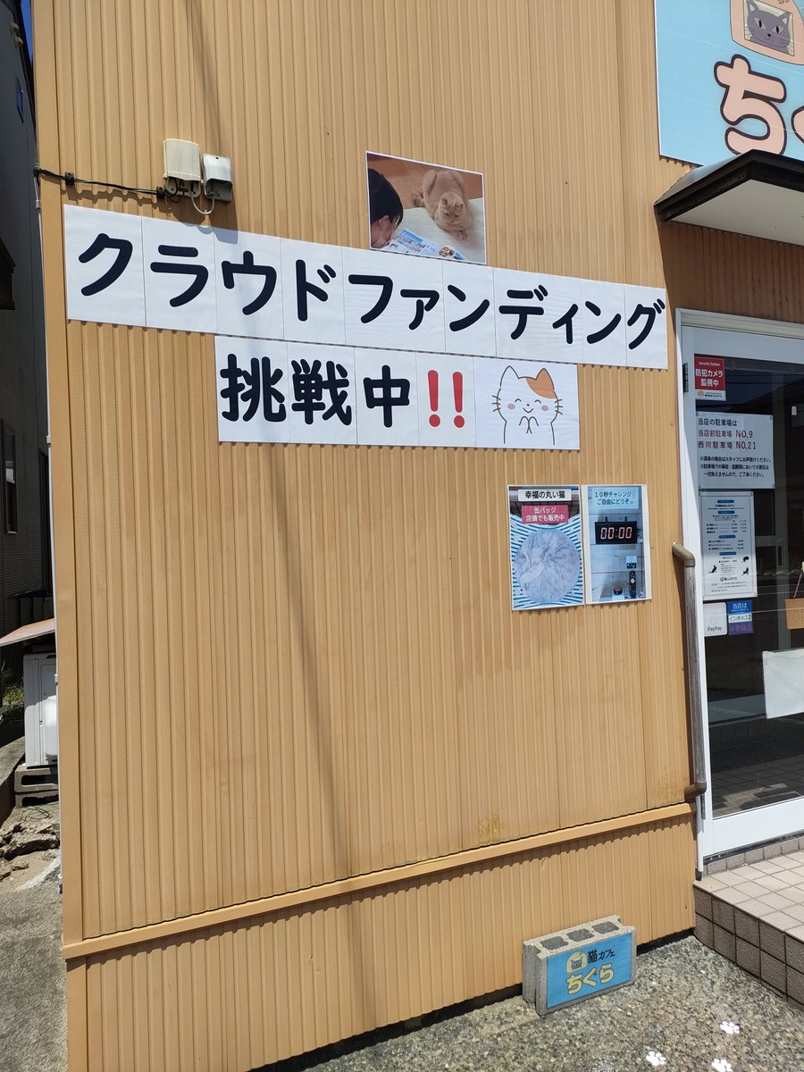 catcafe_chigura's tweet photo. さりげなく🤔part4

#新潟　#猫　#猫カフェ
#クラウドファンディング
#READYFOR https://t.co/TxjKJ5Qhga