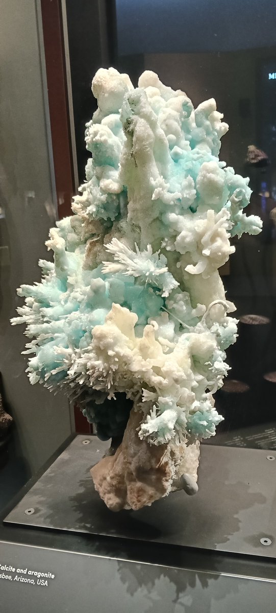 Fas_04's tweet photo. American Natural History Museum https://t.co/5ZRvl742y0