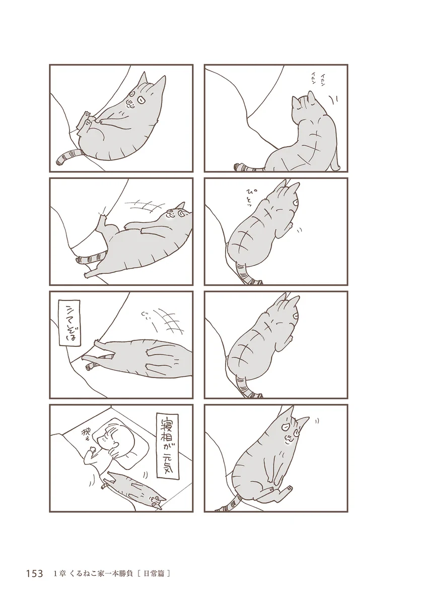 公式】くるねこ on X: 