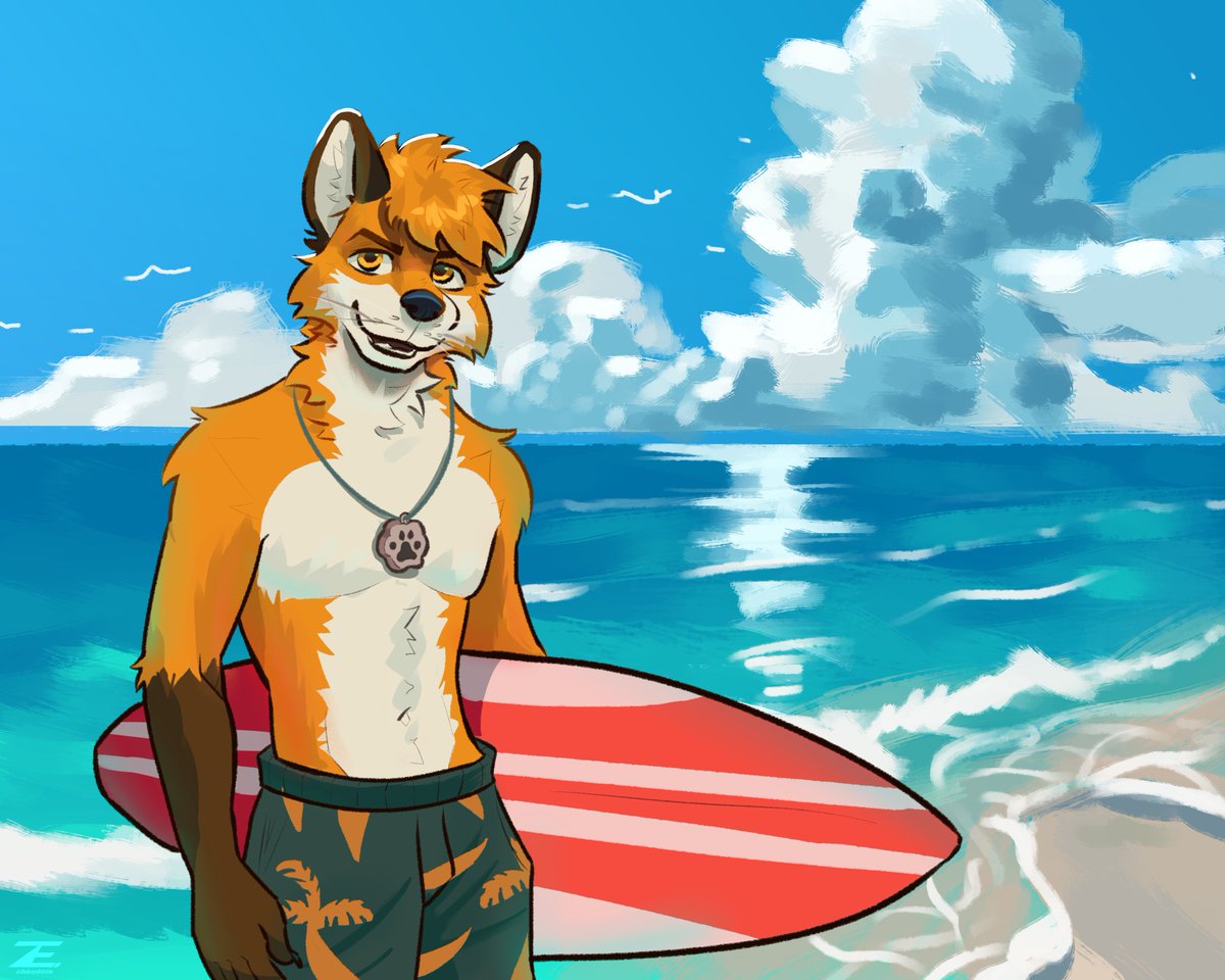 ZebasEddie's tweet photo. Another beach picture! https://t.co/YzGGaQa8ka