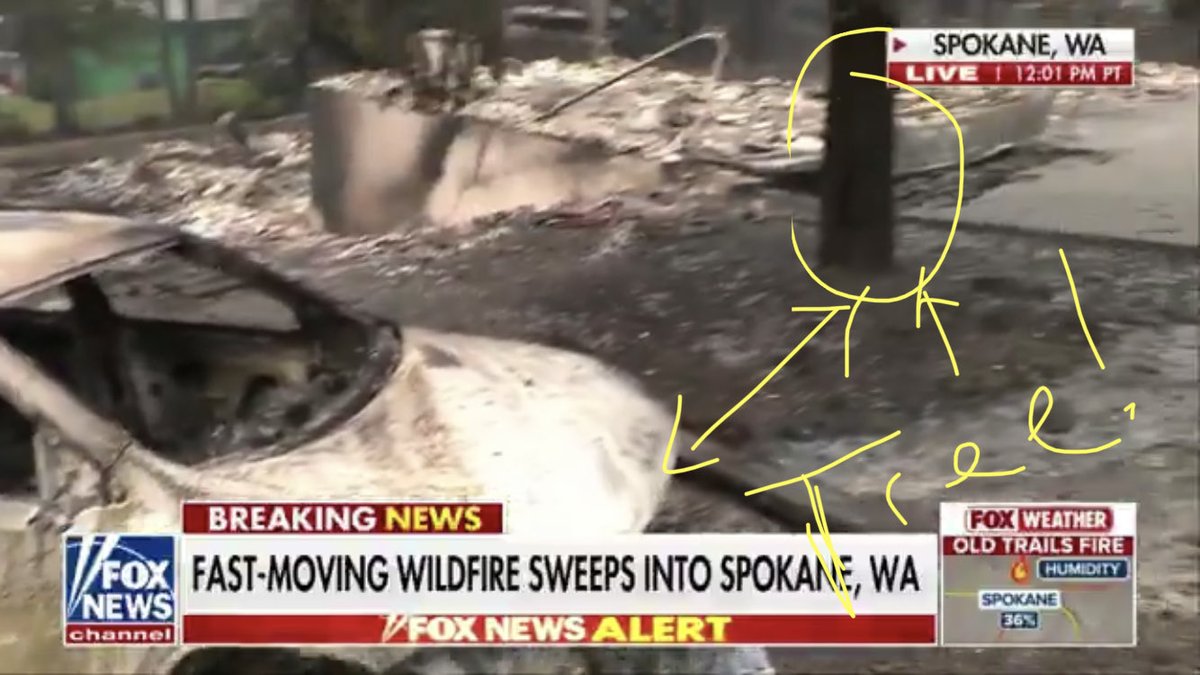 TheQNewsPatriot's tweet photo. So a supposedly uncontained wildfire is hot enough to melt car tires, and the metal wheel rims they’re put on, but not the surrounding forest? Or the tree 10 feet away? https://t.co/KjBPVoDBp1