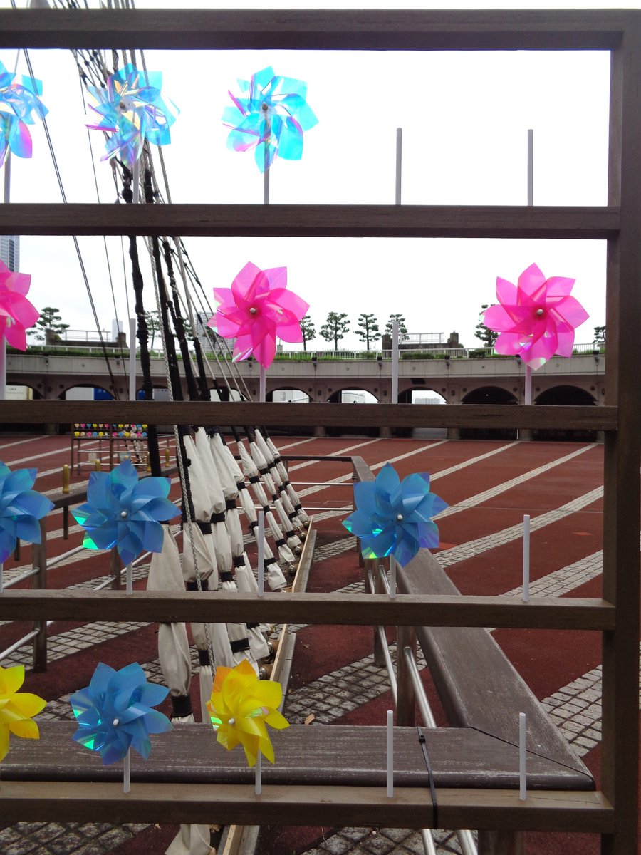 tptcterminal's tweet photo. ⚓️竹芝客船ターミナルです⚓️
残念なことに風車が連日持って行かれる被害に遭っています😥
ご利用の皆さまに楽しんで頂こうと企画されたもので個人でお持ち帰りして良いものではありません🙅‍♂️
お心当たりのある方今ならまだ間に合います！そっとで良いのでお戻しください👮 https://t.co/HO7BxVqRHA