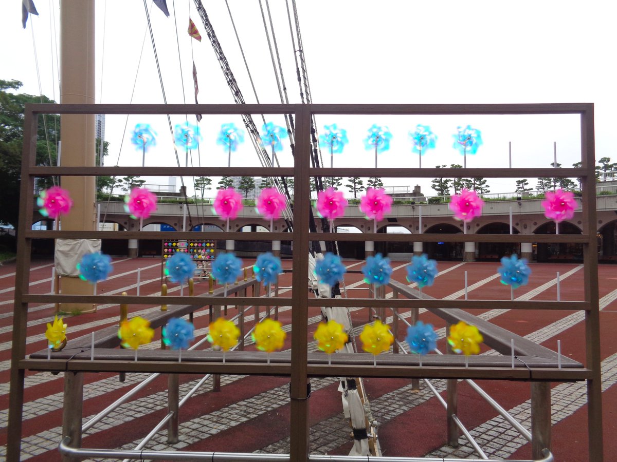 tptcterminal's tweet photo. ⚓️竹芝客船ターミナルです⚓️
残念なことに風車が連日持って行かれる被害に遭っています😥
ご利用の皆さまに楽しんで頂こうと企画されたもので個人でお持ち帰りして良いものではありません🙅‍♂️
お心当たりのある方今ならまだ間に合います！そっとで良いのでお戻しください👮 https://t.co/HO7BxVqRHA