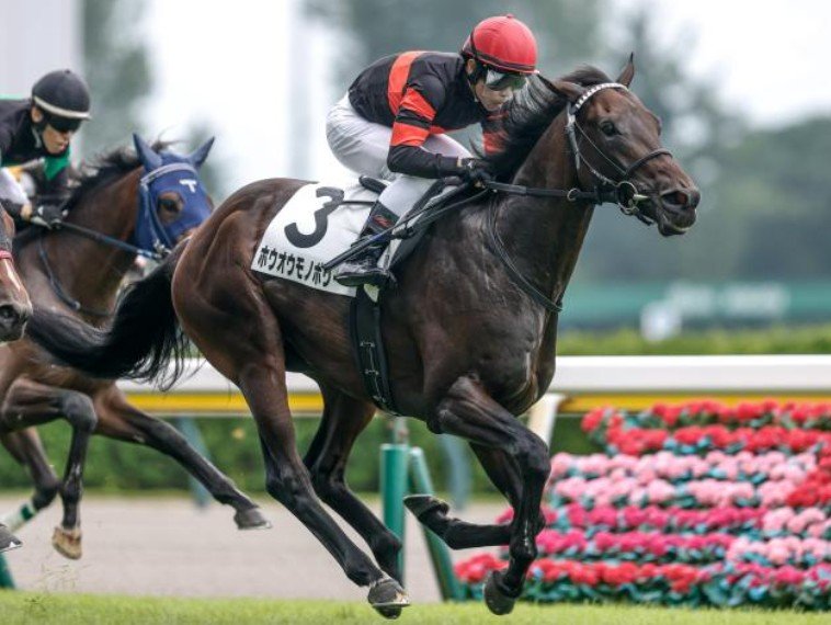 TAITANBAHT's tweet photo. 【競馬】8/1新潟2Rホウオウ軍団冠名背負うホウオウモノポリー24年ミックスセール2億円税抜き新馬戦デビュー勝ち
★初タッグ名門友道厩舎&amp;大物オーナー小笹芳央氏勝利
★鞍上戸崎騎手
「操縦性良く今のところ申し分ない」
※8/2札幌5R新馬戦再びまたホウオウ軍団1人気ホウオウプレマ快勝鞍上池添騎手 https://t.co/H8qO47SO3F