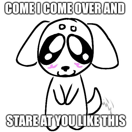 pupgirlblair's tweet photo. can i? can can i? please? https://t.co/uglP5vHhRZ