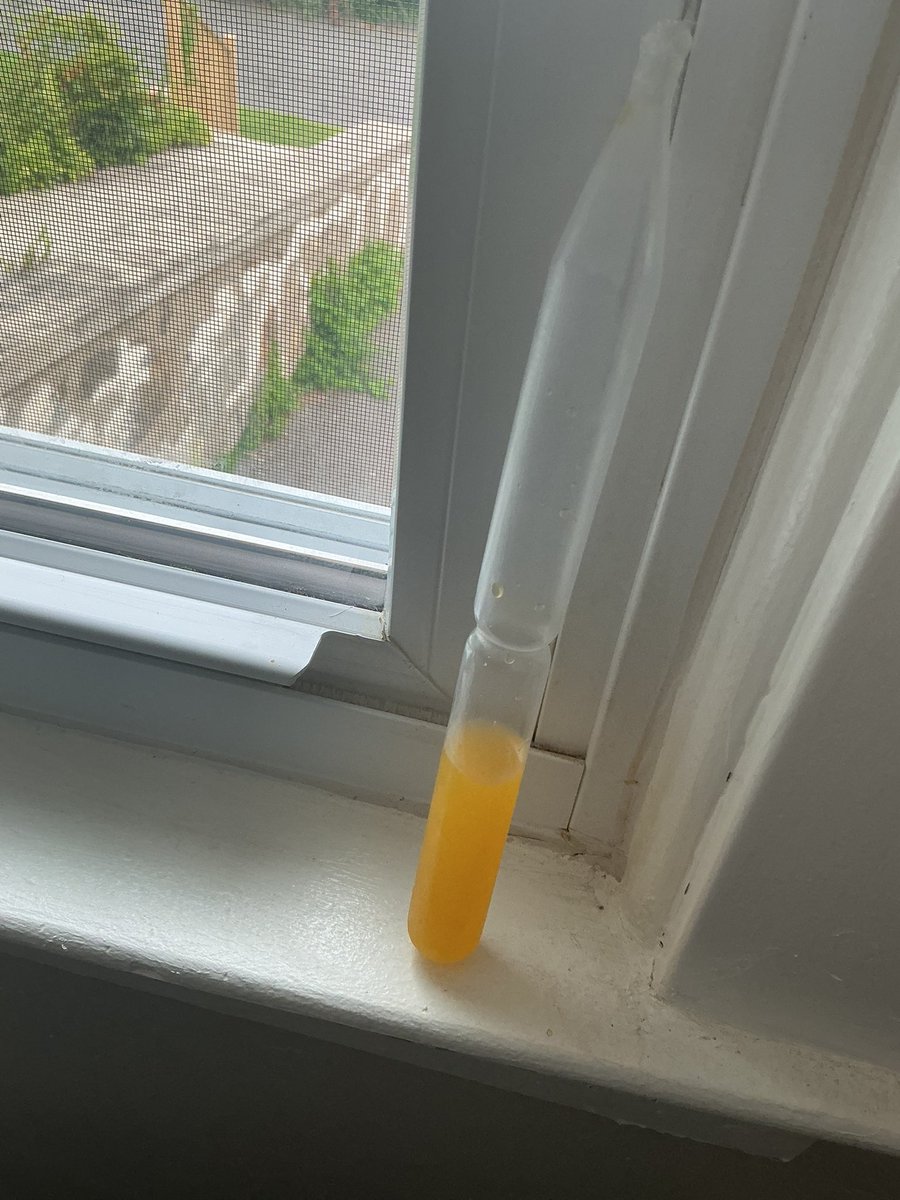 MagicEarzzz00's tweet photo. William left his planet piss cologne near the FUCKING window.. https://t.co/V63pAvAyng