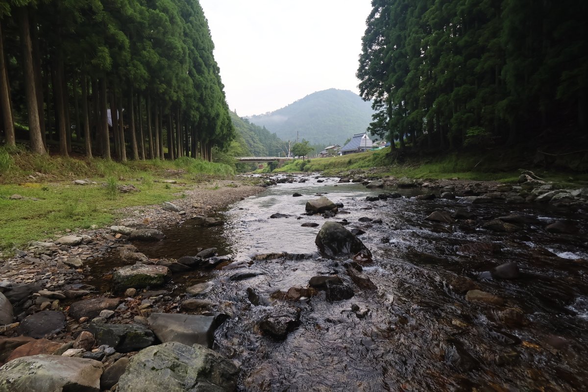 kutukikogawa's tweet photo. あさイチ、北のイマソラ! 下針畑の空https://t.co/fhcQKWNui4。 #あさソラ #滋賀県 #田舎暮らし #鯖街道を歩く #移住 #天気 #針畑 #田舎 #高島市 #高島で暮らそう #siga #ツーリング #harihata #Japan📷📷#夏休み #鮎友釣り #涼しい #近畿 #countrysidelife #針畑川 #川遊び #酷暑知らず #夏休み https://t.co/qJ0AmcUDdk