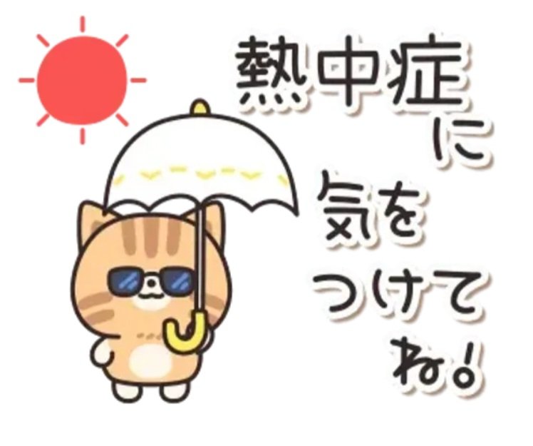 M・紫 tweet media