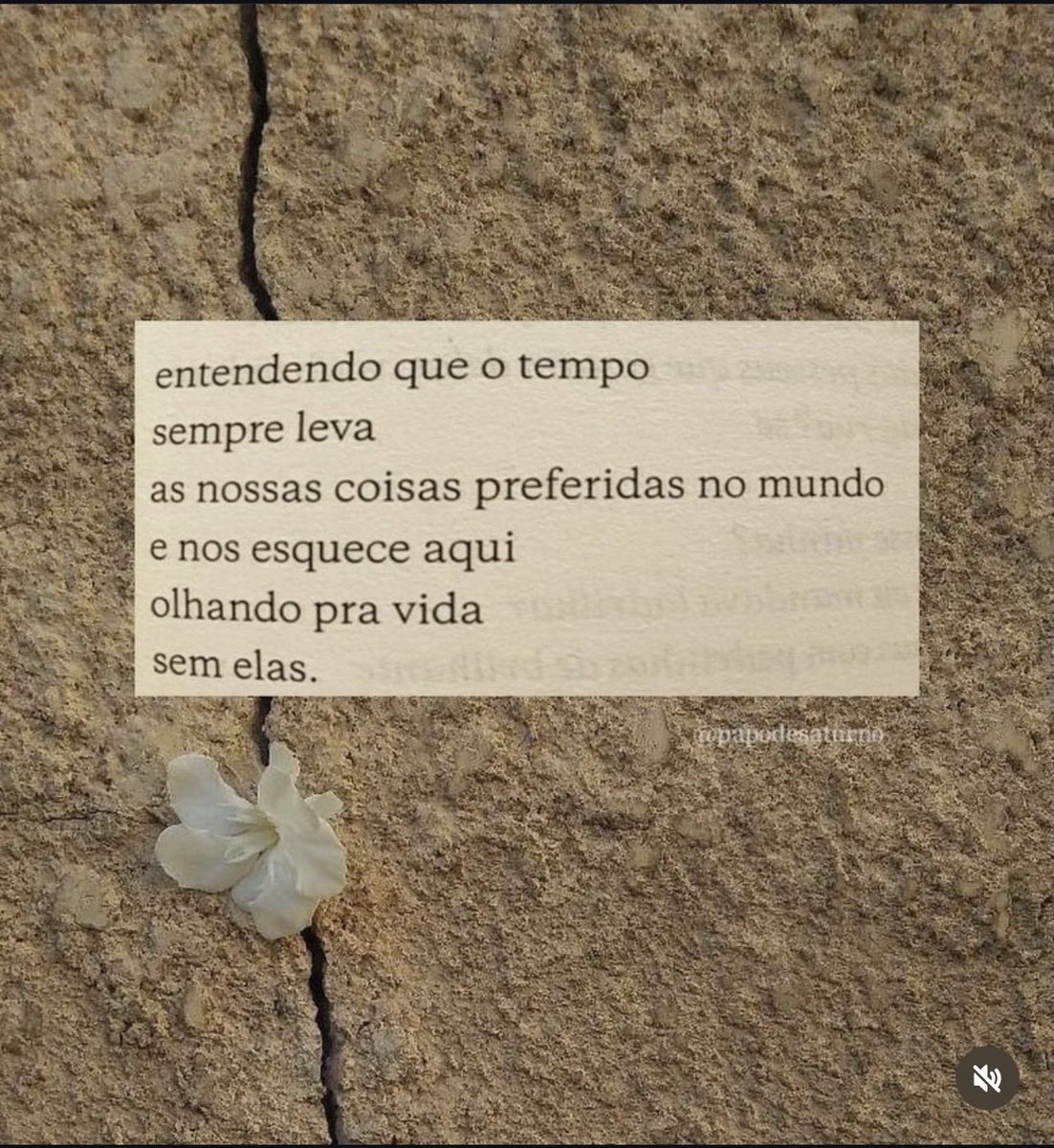 Thaisluquez tweet picture