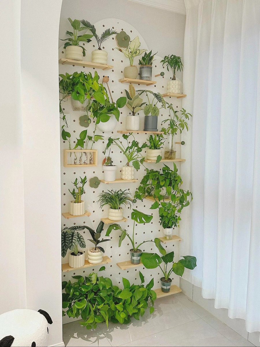 DerickDewie7's tweet photo. Just finished this cute macramé plant hanger  Made from 100% cotton cord, it’s the perfect boho touch for my living room! What handmade project are you working on lately #HandmadeDiys #MacrameCrafts， https://t.co/EsPYhtHIfO