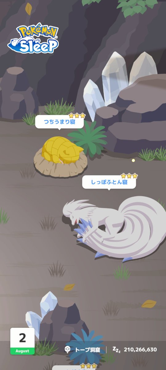 jibu_poke's tweet photo. 今日はなんとも美しい子が来てくれました。 https://t.co/Y5DEOIGvPv
