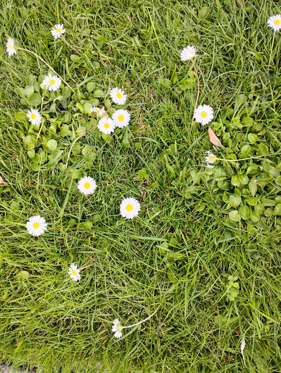 IsaacSteve70770's tweet photo. Sunday picture, God's creation . Nature https://t.co/53v7E66n2W