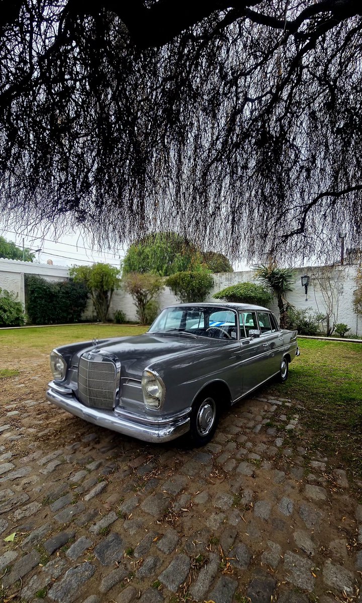 AgenciaPapa's tweet photo. Buenas Noches 😎 
#mercedesbenz 230s 
#autosclasicos https://t.co/Ew5FdQtPaG