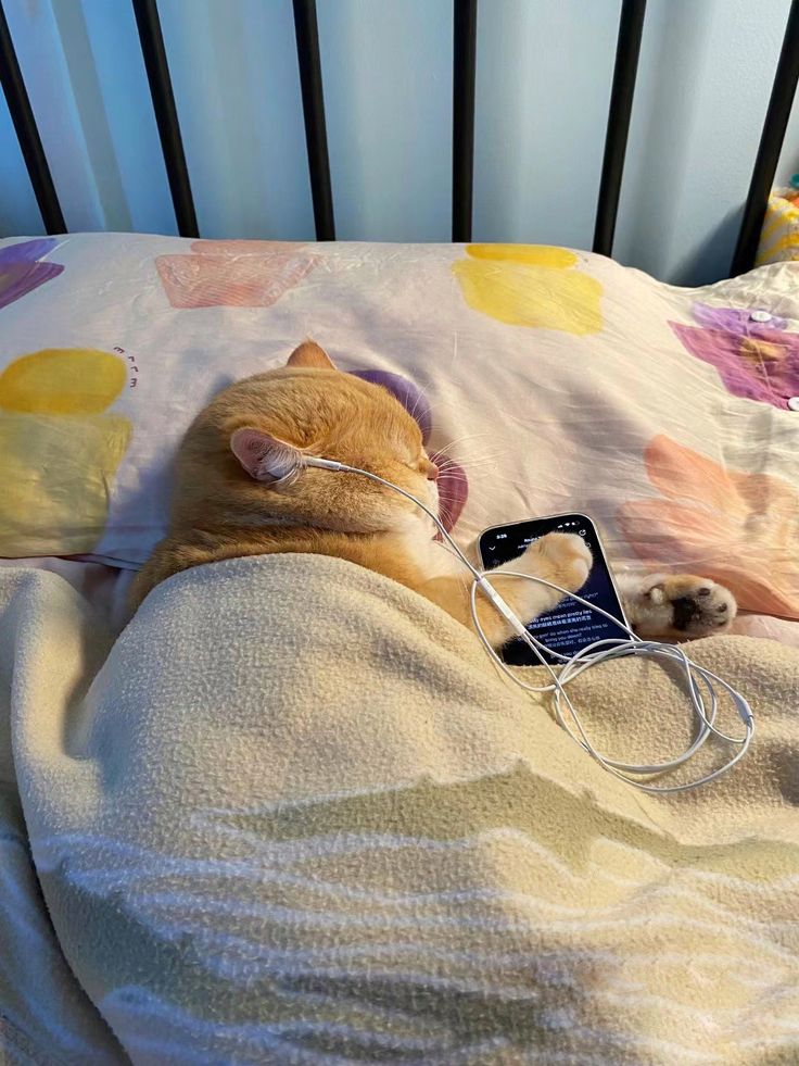 nekocatts's tweet photo. Me https://t.co/e0Bu2zqIBW