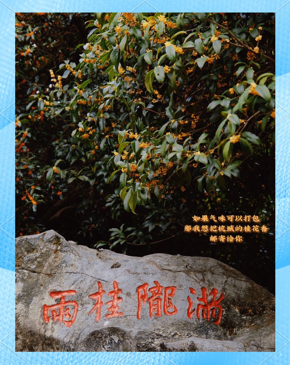 jojunhyeog37470's tweet photo. 今早一出门就被秋风裹住啦，风里带着桂花香，果然是最舒服的季节！ https://t.co/tKLDAwqQpr
