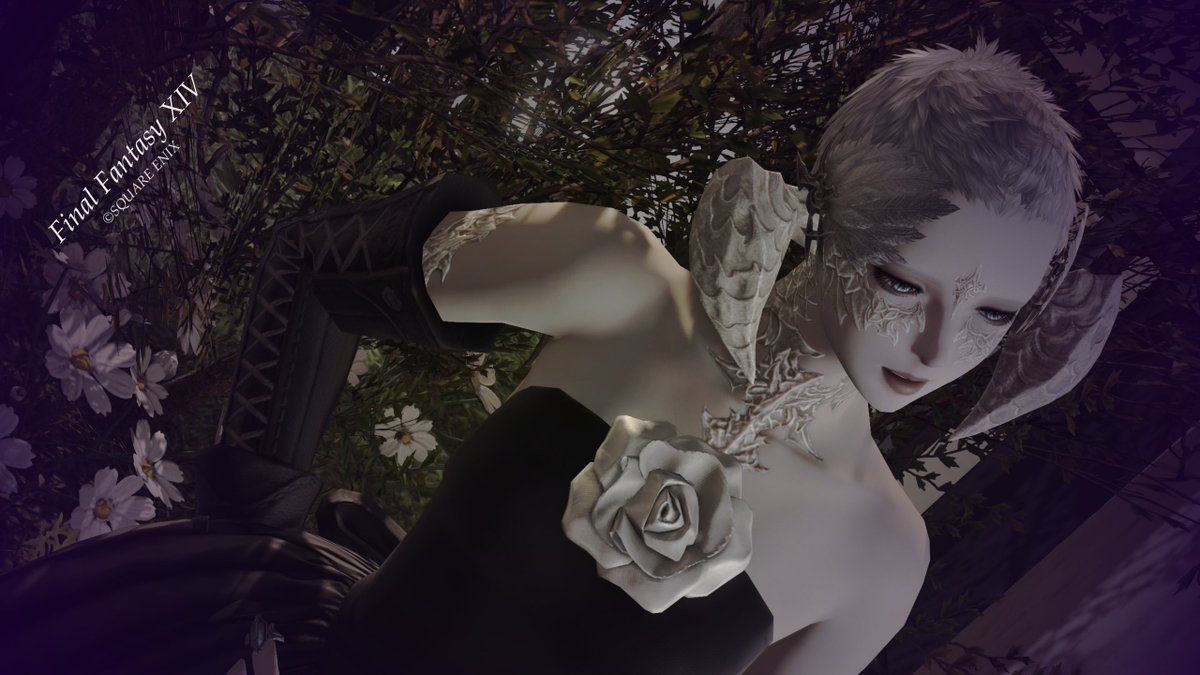 Framet_Lucifer's tweet photo. #FF14SS
GRAZIOSO
๏ฝใใใฏใๅช็พใซใๅช้
ใซ
ใชใผใฑในใใฉใฎ่ชฟในใจ
ใฒในใโ
#herScore_ #grazioso_II https://t.co/s7Xe458Ibg