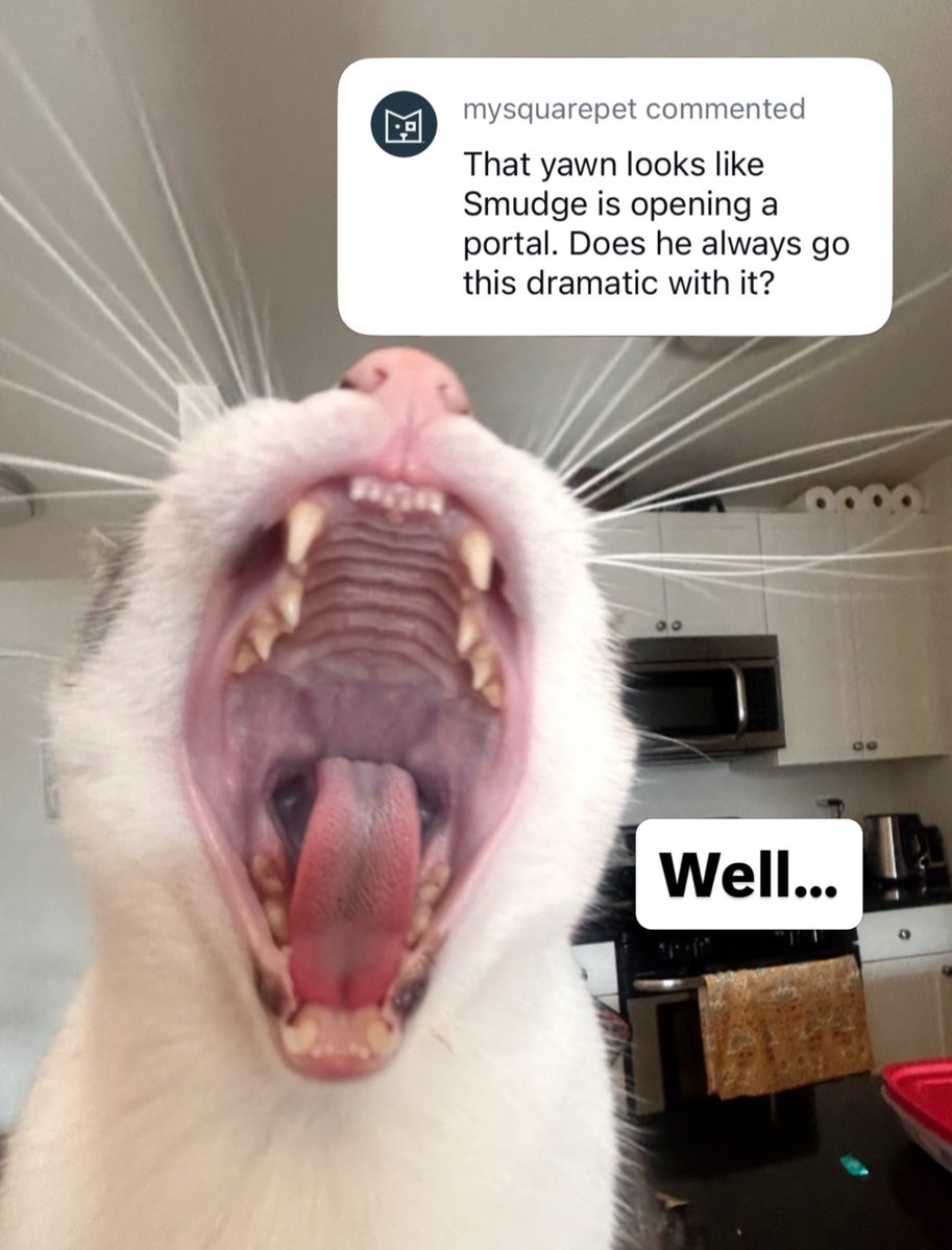 smudgiemanodoo's tweet photo. https://t.co/FiTKnYeZyv