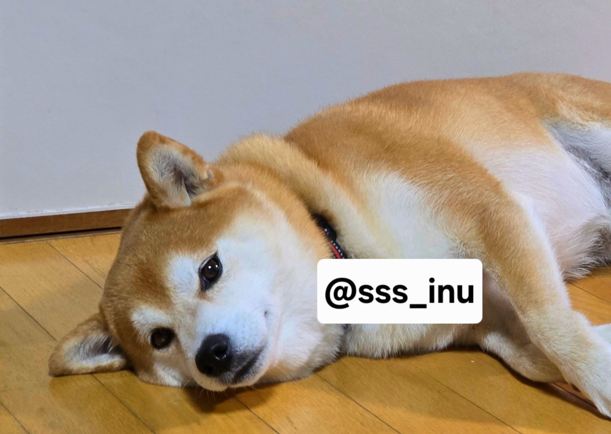 sss_inu's tweet photo. おはよ～～😌😌 https://t.co/e4zI6ISLh8