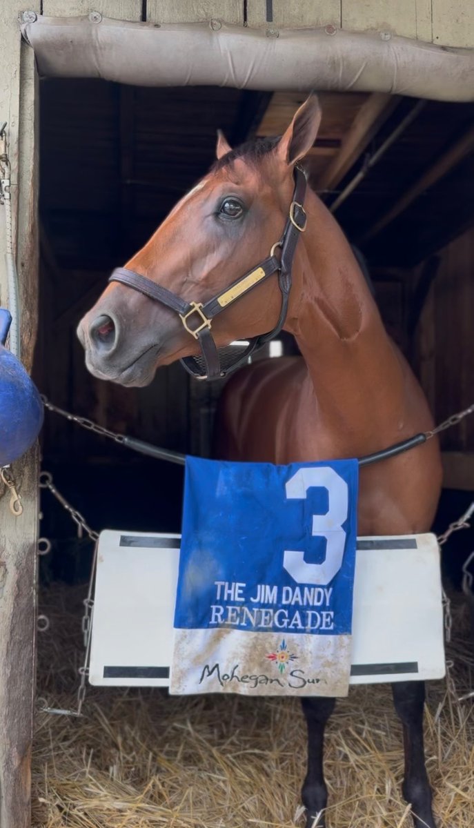 RepoleStable's tweet photo. 2026 Jim Dandy Stakes winner, RENEGADE!!!!!

What an effort yesterday and an amazing stretch drive .

He came out of the race great, full of energy and feeling good.

On to the Travers!!!!! 🙏💪 https://t.co/To6iiXIwv4