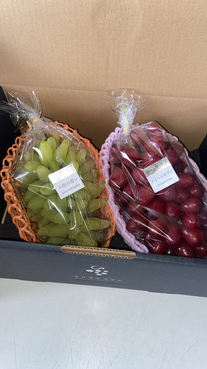 shimura_grapes's tweet photo. おはようございます🌞
本日の目玉です🍇 https://t.co/KIoR2eACdz