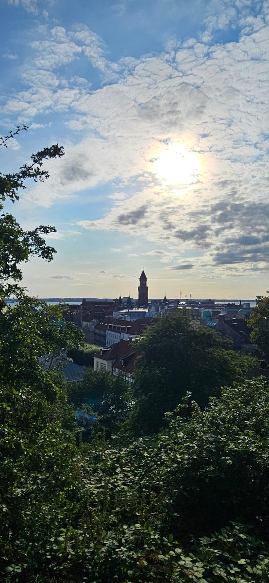 NoirObserver_'s tweet photo. Wonderful weather and a day well spent. ☀️
Summer days like these are simply the best. 🌷🩷 https://t.co/gLOHF1wckJ