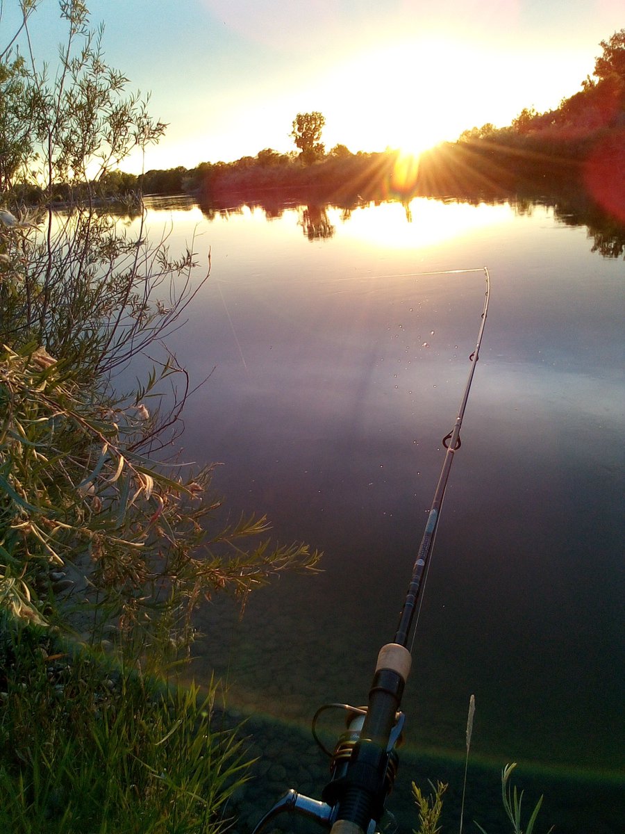 bdcj98's tweet photo. Reflecting on this magical sunset #sunsetportrait #fishing #outdoorliving https://t.co/9sriztA9nd