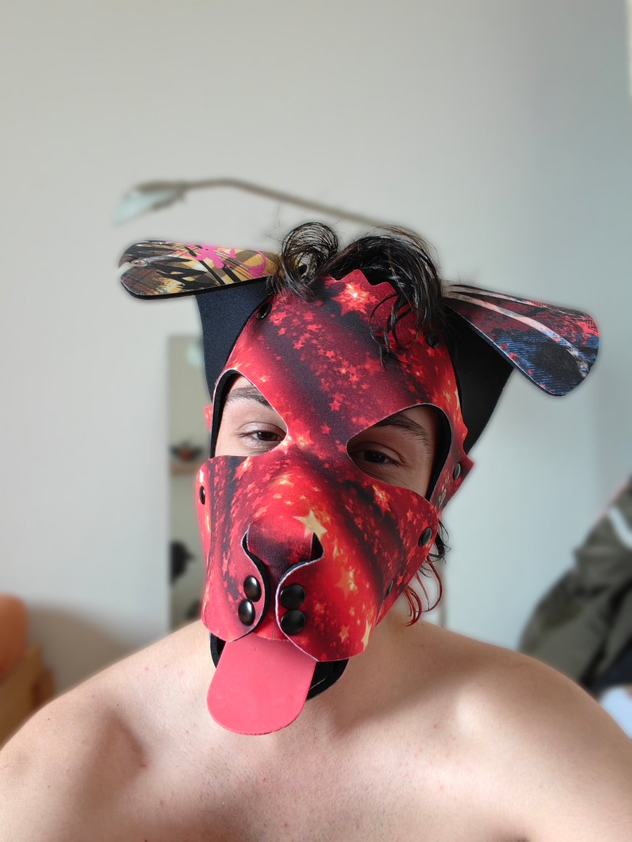bunnyboi_00's tweet photo. New pup in town thanks to @wruffstuff ✨✨✨

#pupplay #puppy #chastity #lockedboy #LGBTQIASunlightOfAugust  #twink @kink_wear #gay #nsfw #chudai https://t.co/Vrjom2ldUN