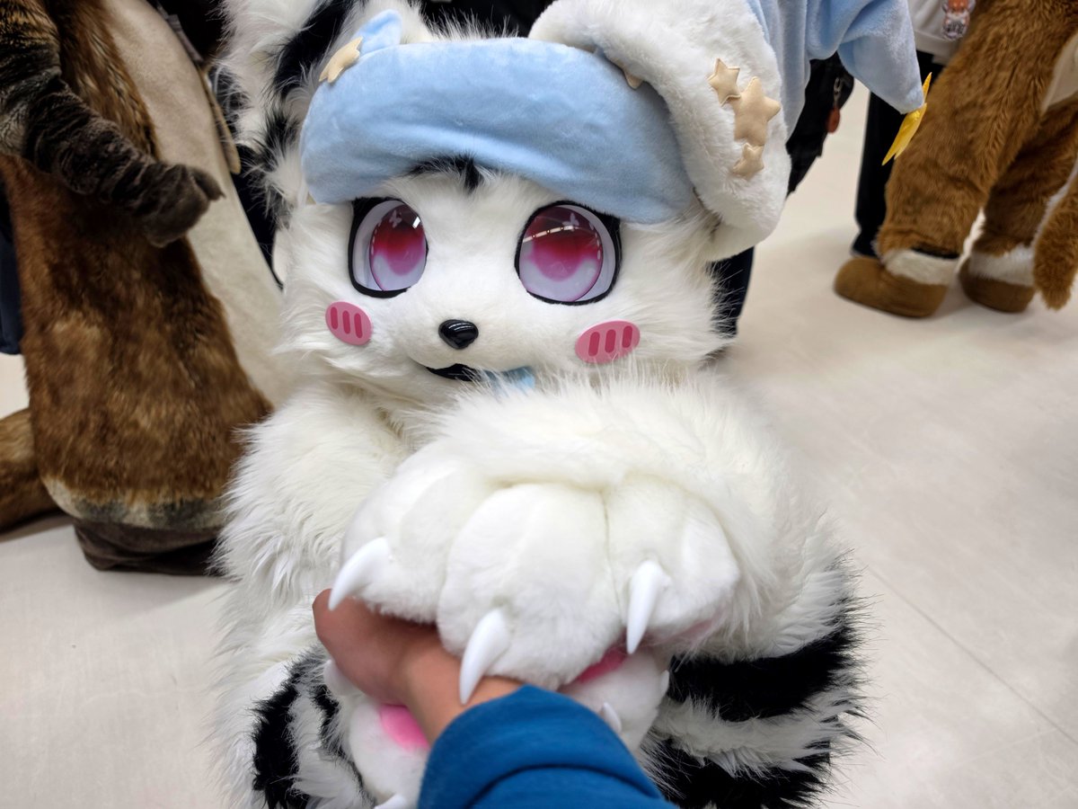 Rou_0403's tweet photo. 一緒にがんばろうね✨✨

#ケモノをみて今週もがんばりマンデー #FursuitEveryday https://t.co/j12uqdYvqW