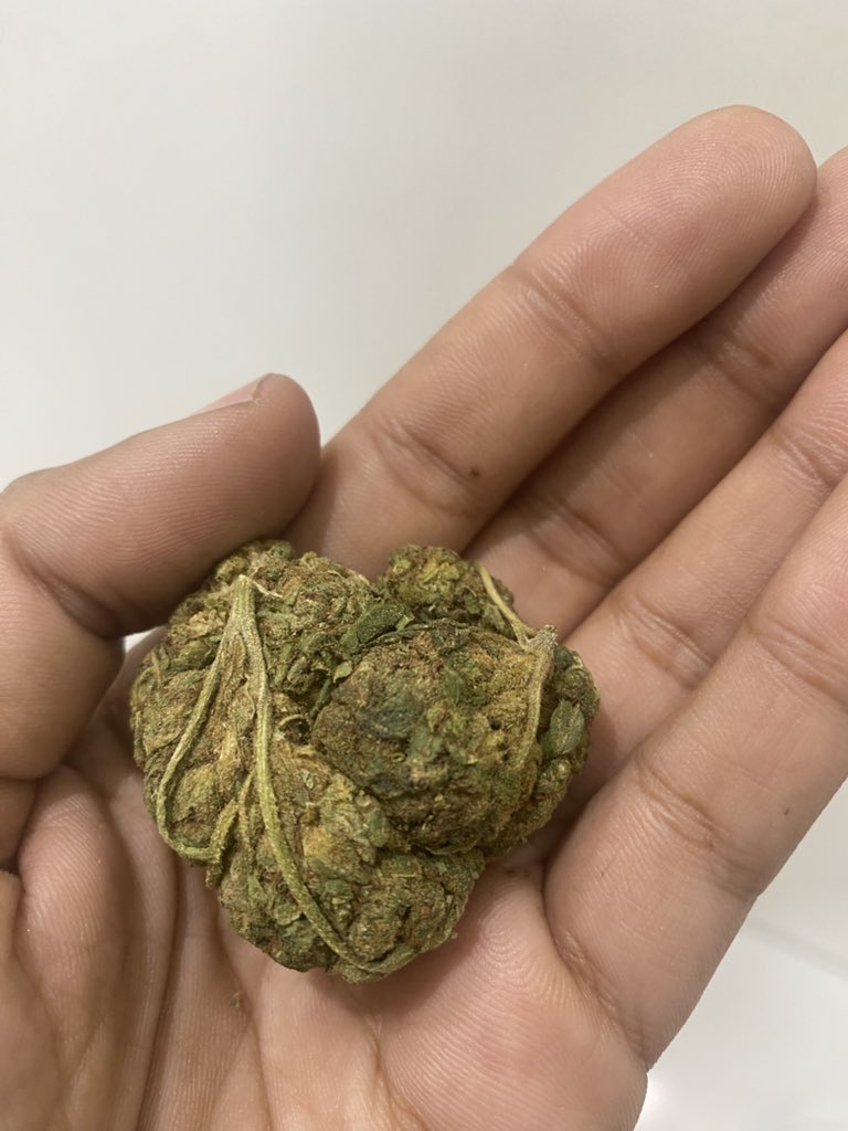 Pampamribeirooo's tweet photo. Eu amo brócolis 🥦 https://t.co/Kx8hgNdL4O