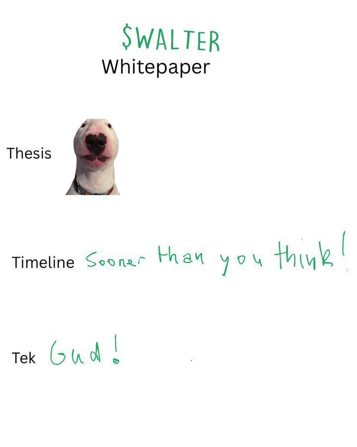 WalterDogSolana tweet picture