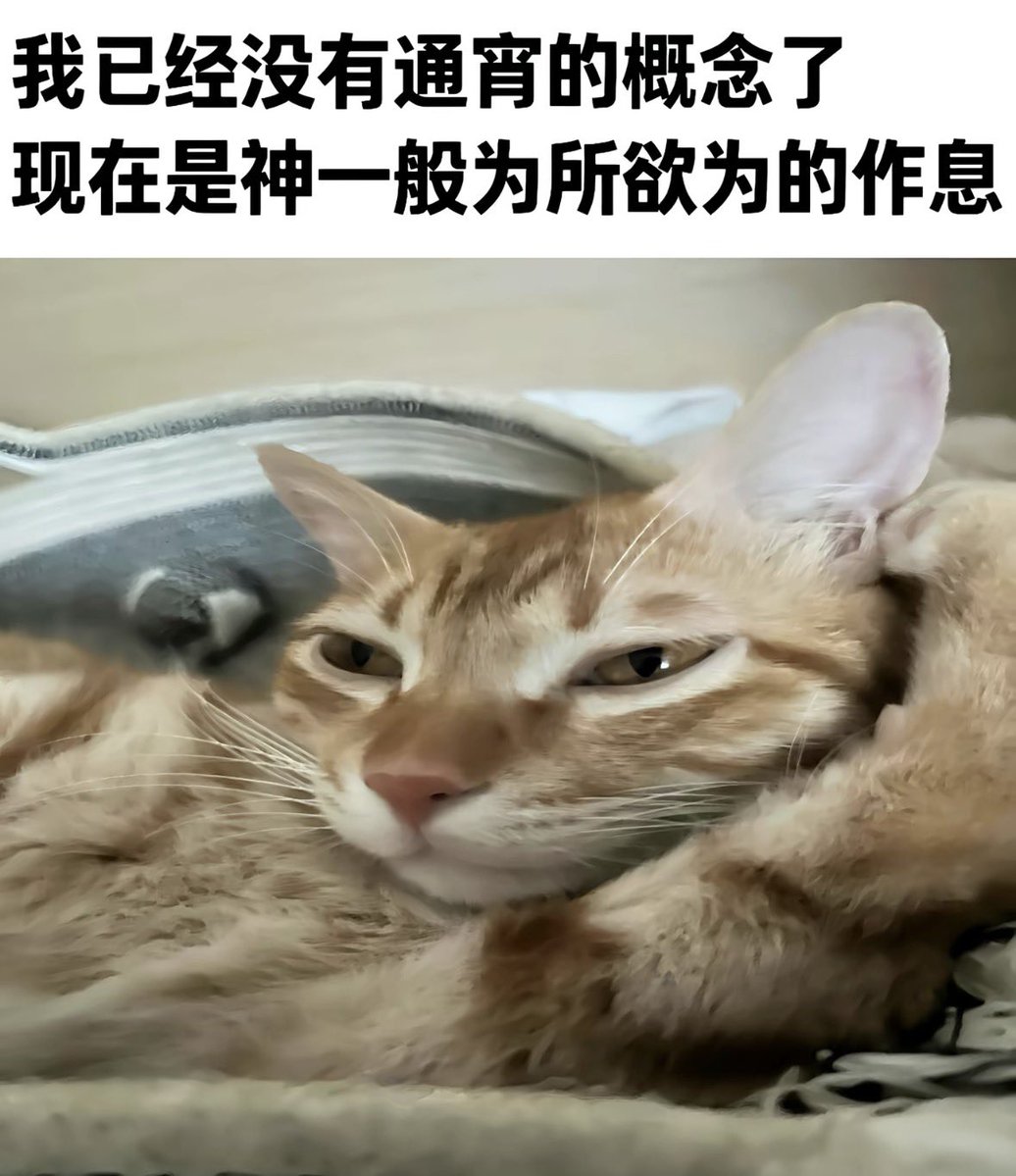 Tori👨🦽➡️永夜安港实验室 tweet media