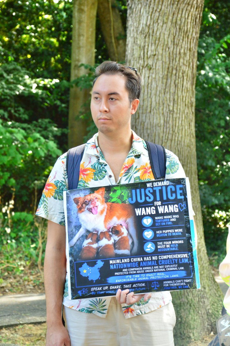 feilung_lau's tweet photo. On August 2, the Chinese Embassy in the Netherlands

#JasticeForWangwang #wangwang https://t.co/0lvQjHu6Vl