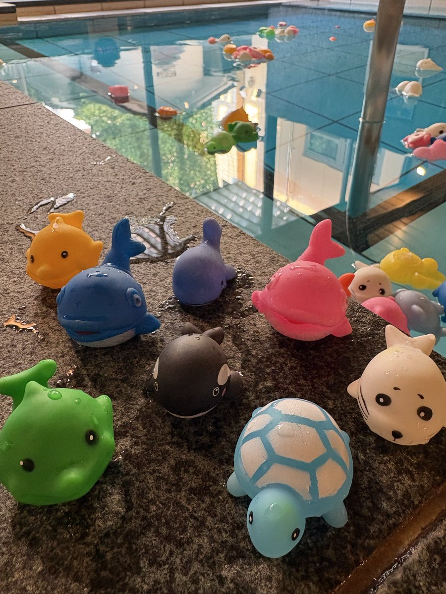 terihaspa1010's tweet photo. マリンワールドの湯入りに来てね🐬✨

#照葉スパリゾート#マリンワールドフェア https://t.co/MJBcWc8Dwm