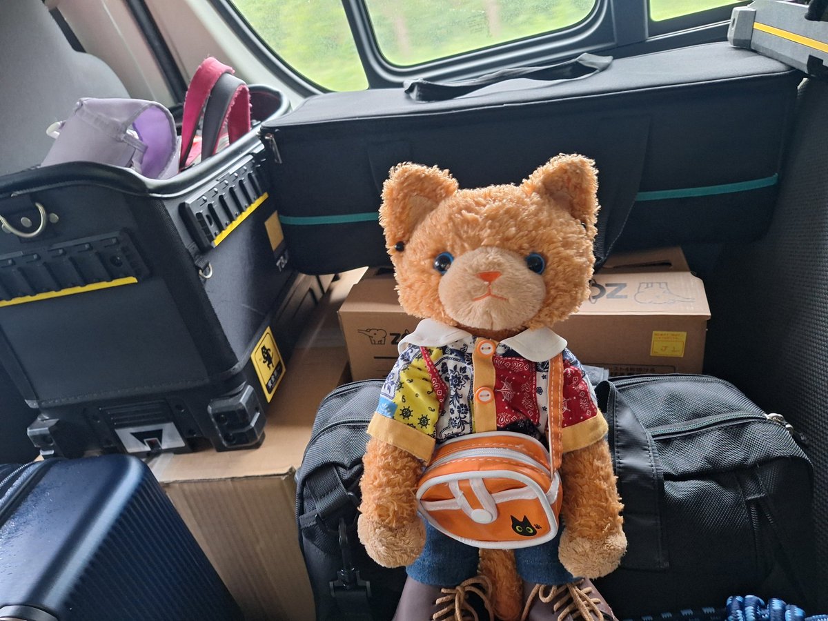 zero329_425's tweet photo. 今日からしばらくロランがおともちゃん
いつも乗らない後部座席でちょっと不満顔? https://t.co/jgfu45f9Ji