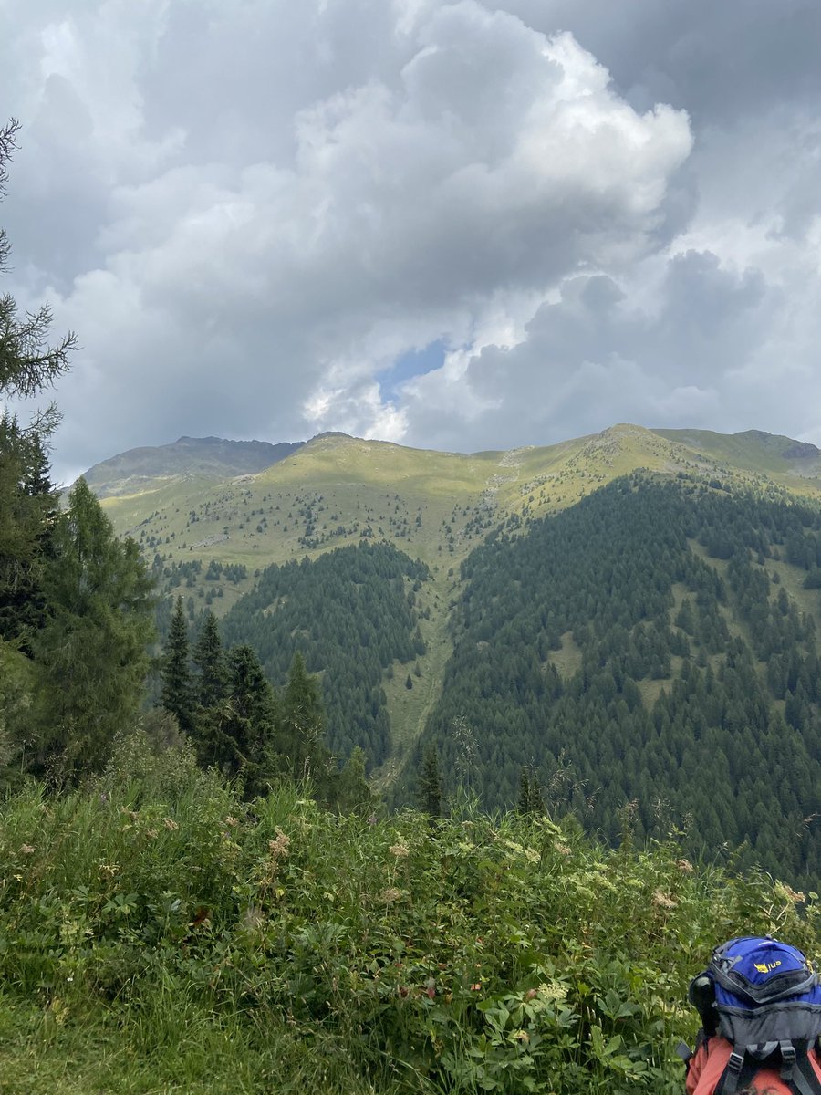 LorenzoSolinas's tweet photo. #Trentino tra boschi, prati e rovine della #WW1 #Tonale https://t.co/MPyKI9yKSA